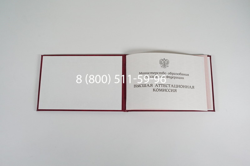 Диплом доктора наук 1995-2006 года в Смоленске