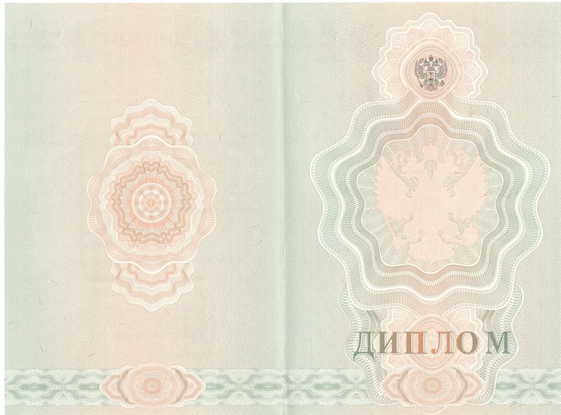 Купить Диплом о начальном образовании  2007-2009 годов в Смоленске