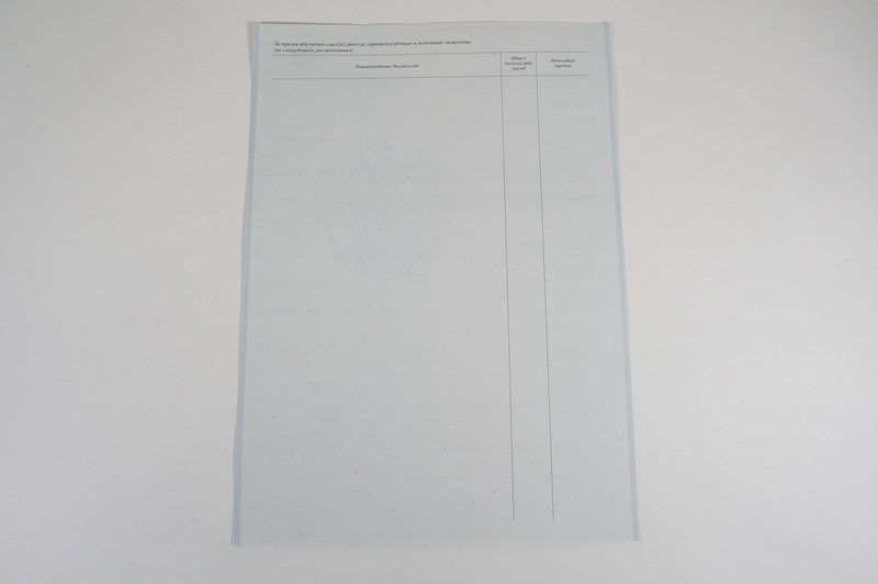 Диплом о начальном образовании  2007-2009 годов в Смоленске